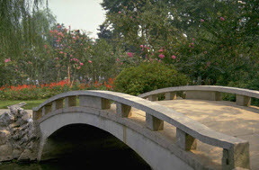 Picture of Garden.